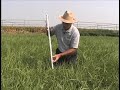 Using-a-Grazing-Stic
