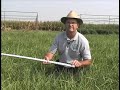 Using-a-Grazing-Stic