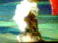 The Dog Dancing At Crufts In 2008 The Dog Dancing At Crufts In 2008