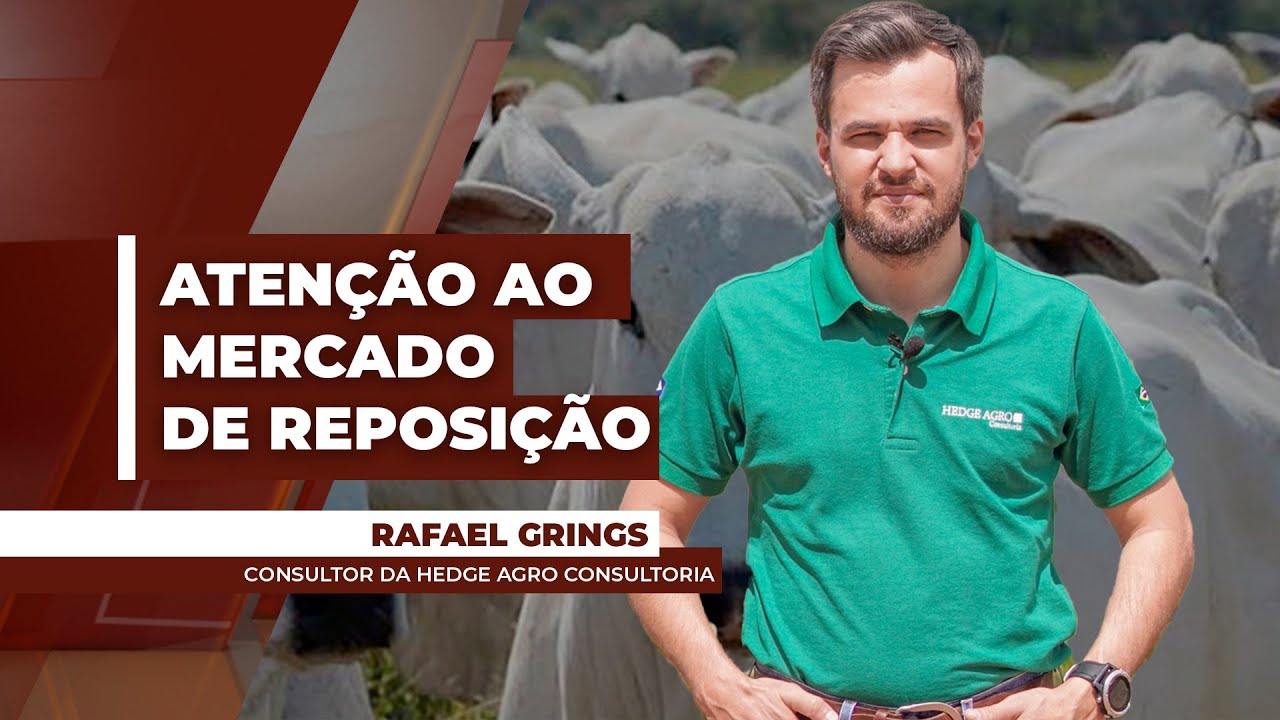 Com atenção ao mercado de reposição, consultor aponta busca de pecuaristas por bezerros, bois magros
