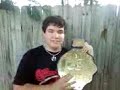 AWF HIGHLIGHTS AWF HIGHLIGHTS