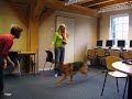 Landstede Raalte clickertraining 9 Landstede Raalte clickertraining 9