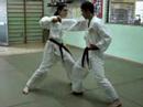 Ju Jitsu Shin Daito Ryu Esecuzione Tecnica Attacco di Pugno Ju Jitsu Shin Daito Ryu Esecuzione Tecnica Attacco di Pugno