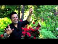 A brand new song from Manmohan Waris,Kamal Heer & Sangtar. This song is dedicated to all the immigrant grandfathers. Sukhpal Aujla portrayed the social life of Babas' in Canada. The music is by Sangtar and the video Director is Binder Garcha of Studio 12. Video was shot in front of original Babas of Surrey, BC. Enjoy. © 2012 Plasma Records. www.plasmarecords.com or http