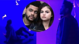 Selena Gomez and the Weeknd's SUPER Romantic Aquarium Date! 😍