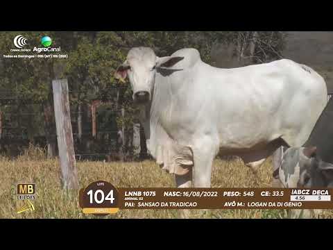 511� LEIL�O VIRTUAL MB LEIL�ES