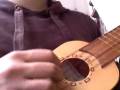 Blues con Charango