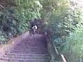Marvin bezwingt Treppe!