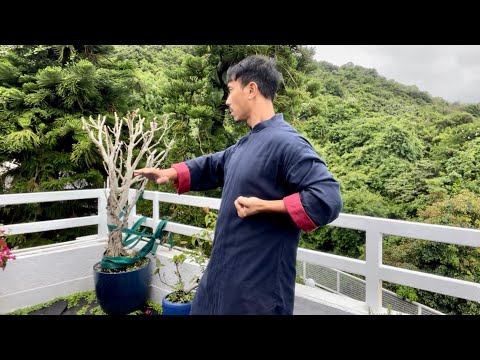 <!--▼▼dblang_key2--en--dblang_key2▼▼-->Ip Chun Explained Wing Chun's Second Forms of Chum Kiu