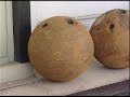 Cannonballs Dredged From Inner Harbor