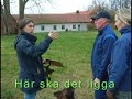 V�xa Halland R�dgivning