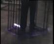 Faraday Cage