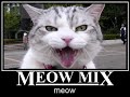 Meow Mix