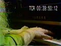 Hermeto Pascoal - Escuta Meu Piano 1979