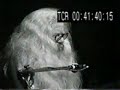 Hermeto Pascoal - Escuta Meu Piano 1979