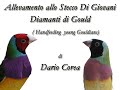 Allevamento Allo Stecco