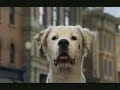 Budweiser : Clydesdale Spot Budweiser : Clydesdale Spot