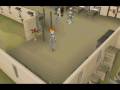 Runescape Dragon claw maxing