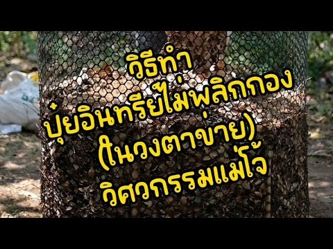 วิธีทำปุ๋ยหมักไม่พลิกกลับกอง วิศวกรรมแม่แจ้ ในวงตาข่าย
