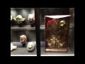 Art of Star Wars Toys Exhibit at the Louvre with Sciencefictionarchives.com and Cinema Siren (0:05:32)