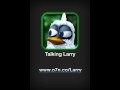 Talking Larry the Bird Admits The Long-Awaited Truth