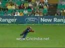 Amazing Catch By Jamie Dalrymple Amazing Catch By Jamie Dalrymple