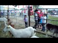La familia recorre la muestra - Expoagro Norte 2011 - Salta