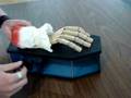 Tapping Hand