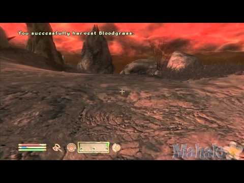 how to i cure vampirism in oblivion