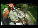 Baia Sport-fishing Lodge Papua New Guinea