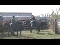 videos de The Gift of the Horse