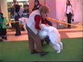 Borzoi video