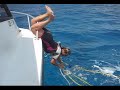 Melinda Mooring Dive boat