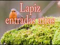 Cours de tango argentin Rodez Mende Lapiz y entradas