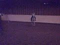 Dressage / Vasaria 3-9