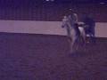 videos de Dressage / Vasaria 3-9