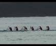 videos de Team Hawaii Hamo 2006