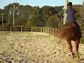 Teddy's first time being ridden.