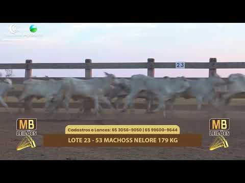 508� LEIL�O VIRTUAL MB LEIL�ES