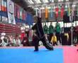 wka worlds 07 germany - Denmark soft style
