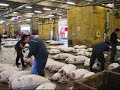 Tsukiji Fish Market