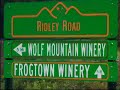 Georgia Wineries
