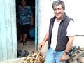 Il porcino