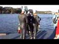 The 2007 Nation's Triathlon
