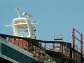 MSC POESIA