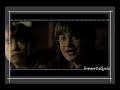 The Day I Fall In Love -Harry & Ginny Manele-Gratis.net