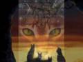 videos de Brambleclaw is haunted by Tigerstar and Hawkfrost.wmv