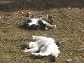 Enjoying the warm spring weather