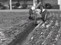 fordson dexta ploegen