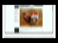 Kit Kat Jesus: e-mail marketing miracoloso!
